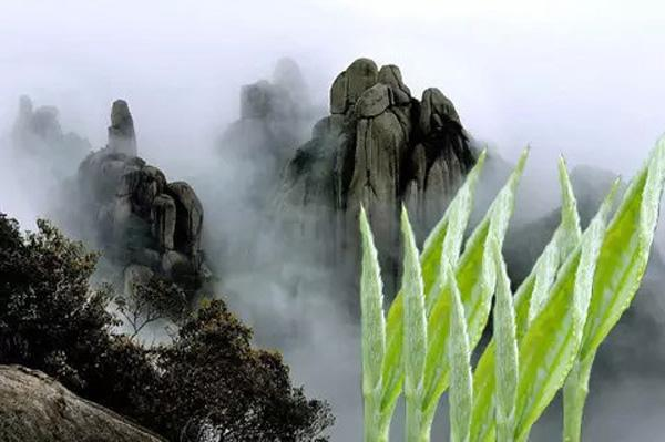 QQ截图20160810153841.png