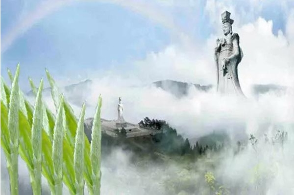 QQ截图20160810153931.png