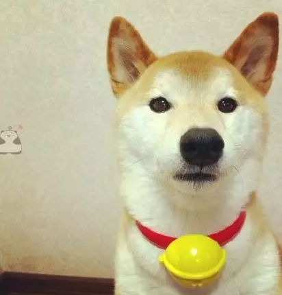 微信截图_20160822142547.png