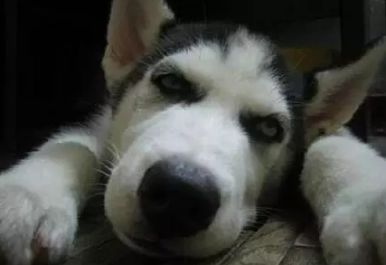 微信截图_20160822142614.png