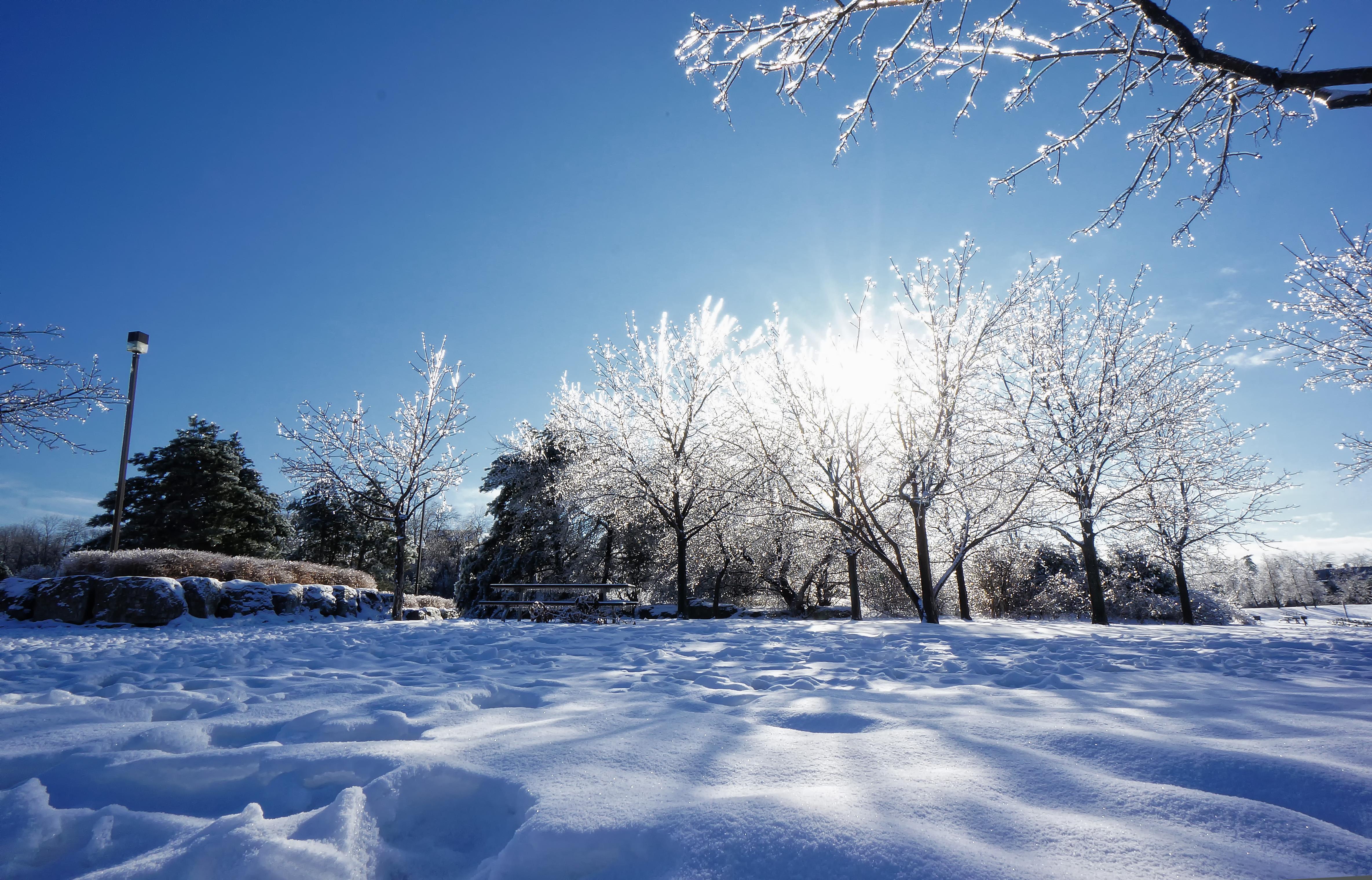 雪8.jpg