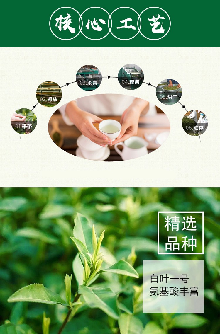 安吉白茶五罐_06.jpg
