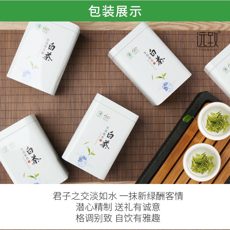 安吉白茶五罐_16.jpg